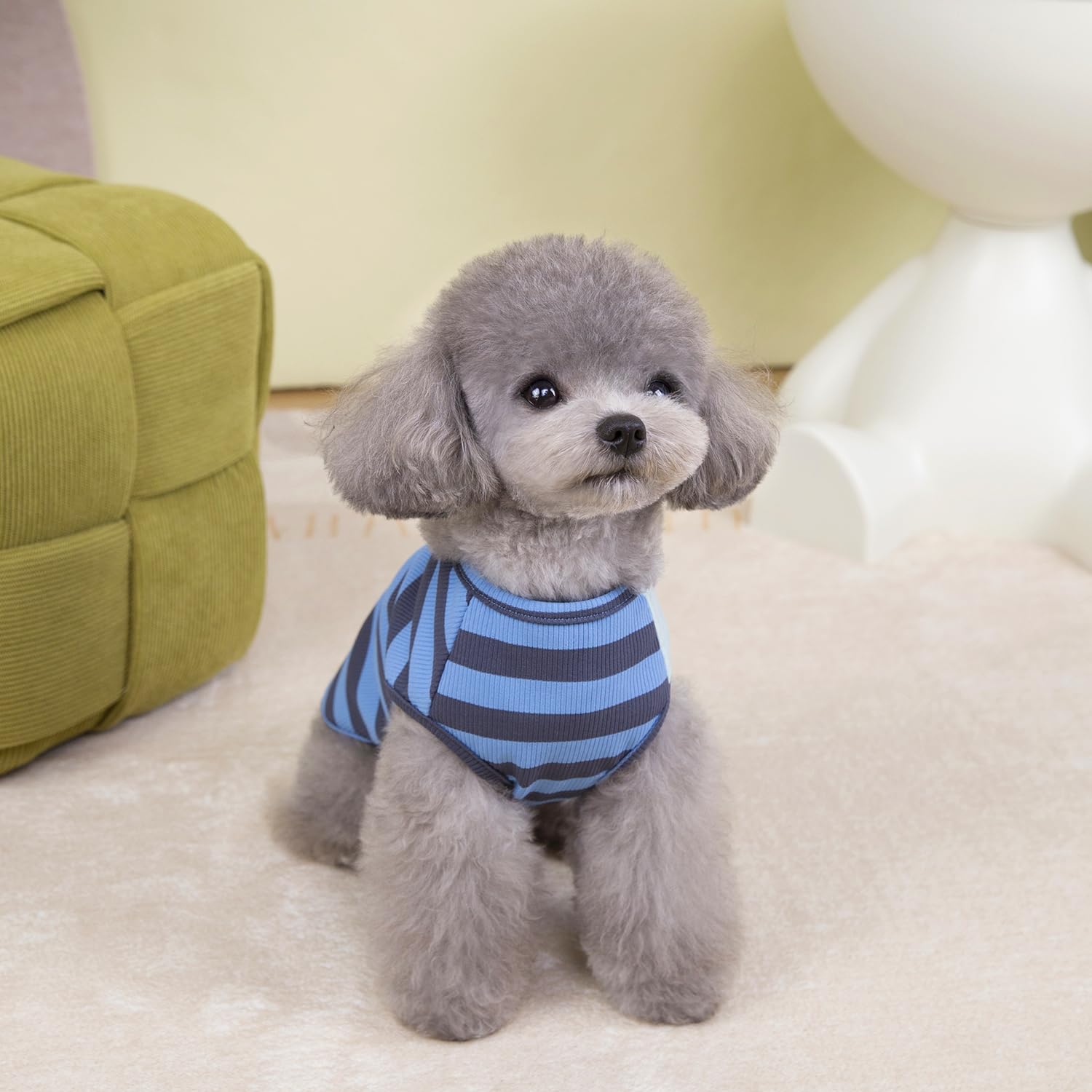 Izefia 3 Pièces Chien Chemises Vêtements Respirant Arc-en-Ciel Rayure Gaufre Cool Été Coton Débardeur Gilet T Shirt pour Petit Chien Chiot Chat