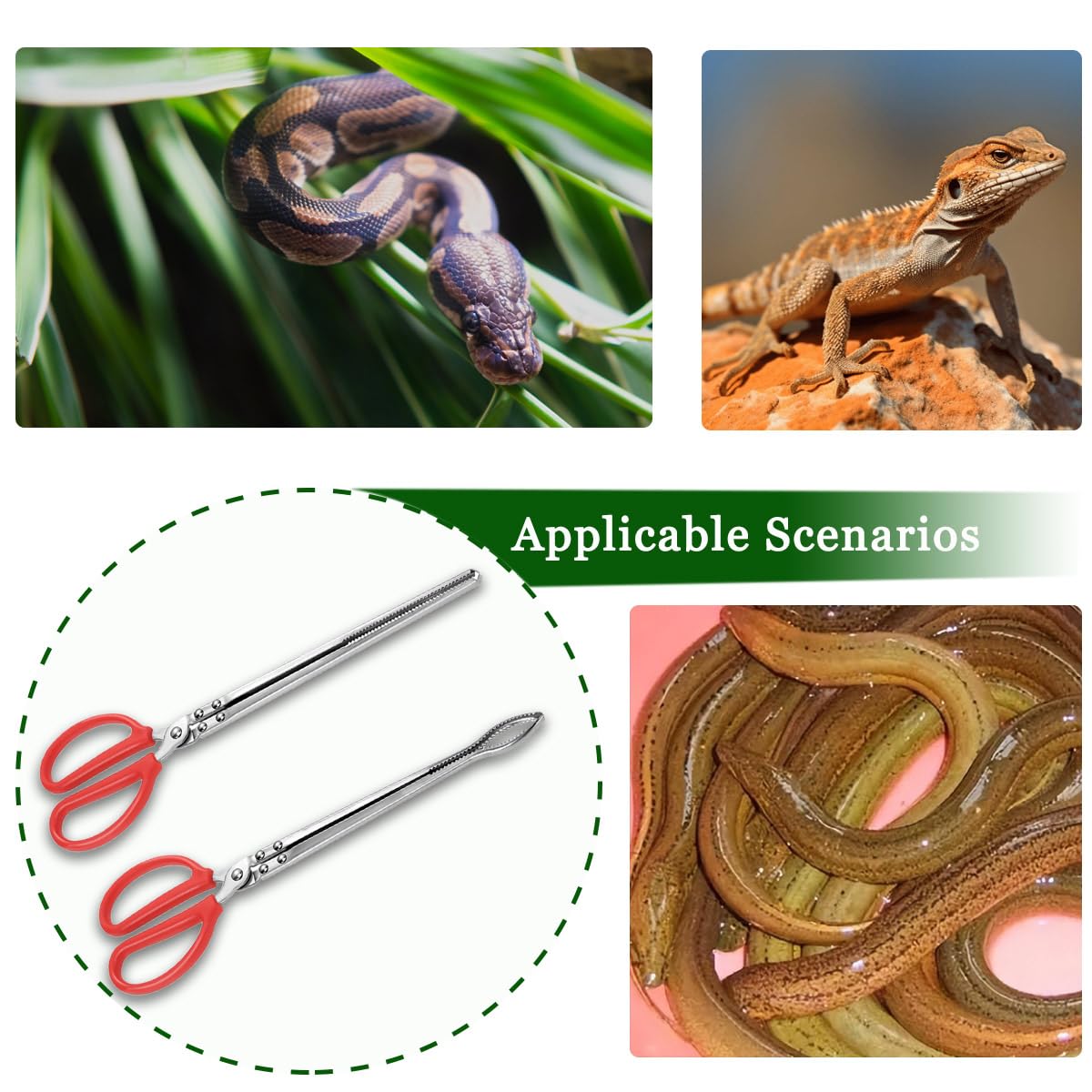 AYAMAYA 52" Foldable Snake Tongs, Heavy Duty Stainless Steel Snake Reptile Sticks With Spring
