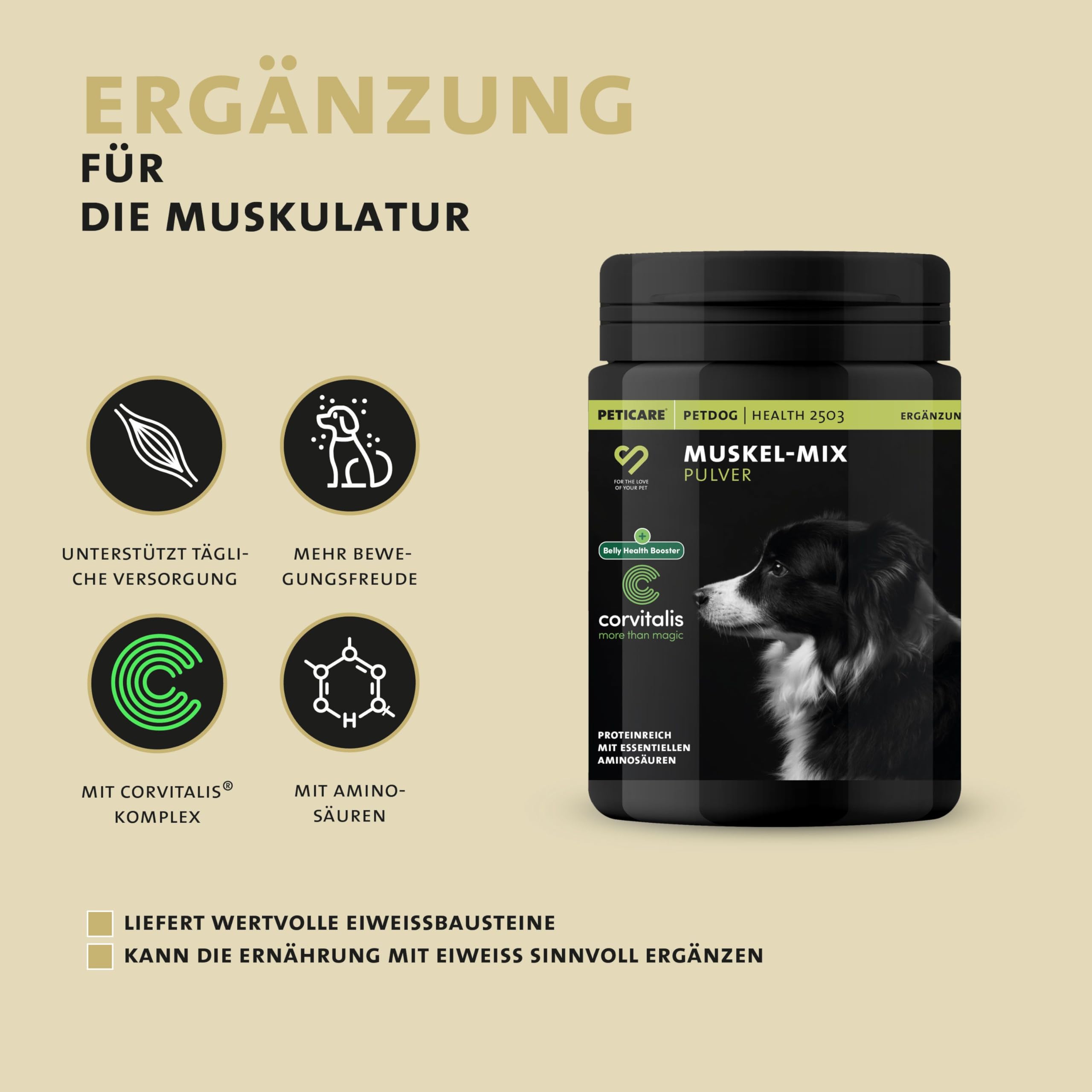 Peticare Muskulatur & Aktiv Pulver-Mix für Hunde | Ergänzungsfuttermittel mit Collagen & Aminosäuren | Unterstützung für Beweglichkeit & Vitalität | für aktive Hunde & Senioren | petDog Health 2503