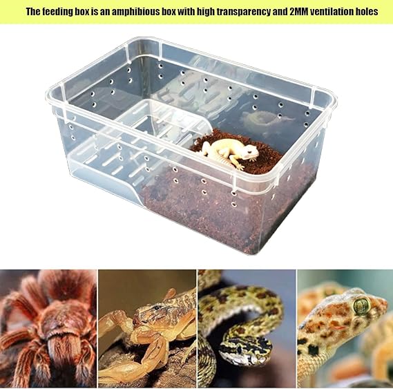 Reptile Turtle Terrarium Lizard Feeding Transport Pet Breeding Box Glass Habitats for Amphibians (White)
