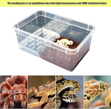Reptile Turtle Terrarium Lizard Feeding Transport Pet Breeding Box Glass Habitats for Amphibians (White)