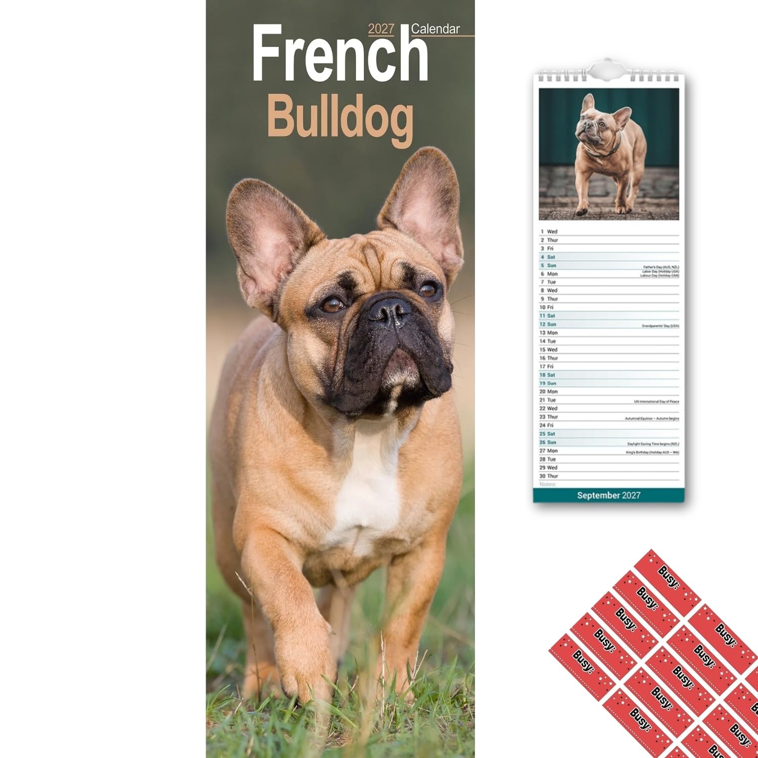 Avonside French Bulldog 2027 Slimline Calendar with Organisational Stickers