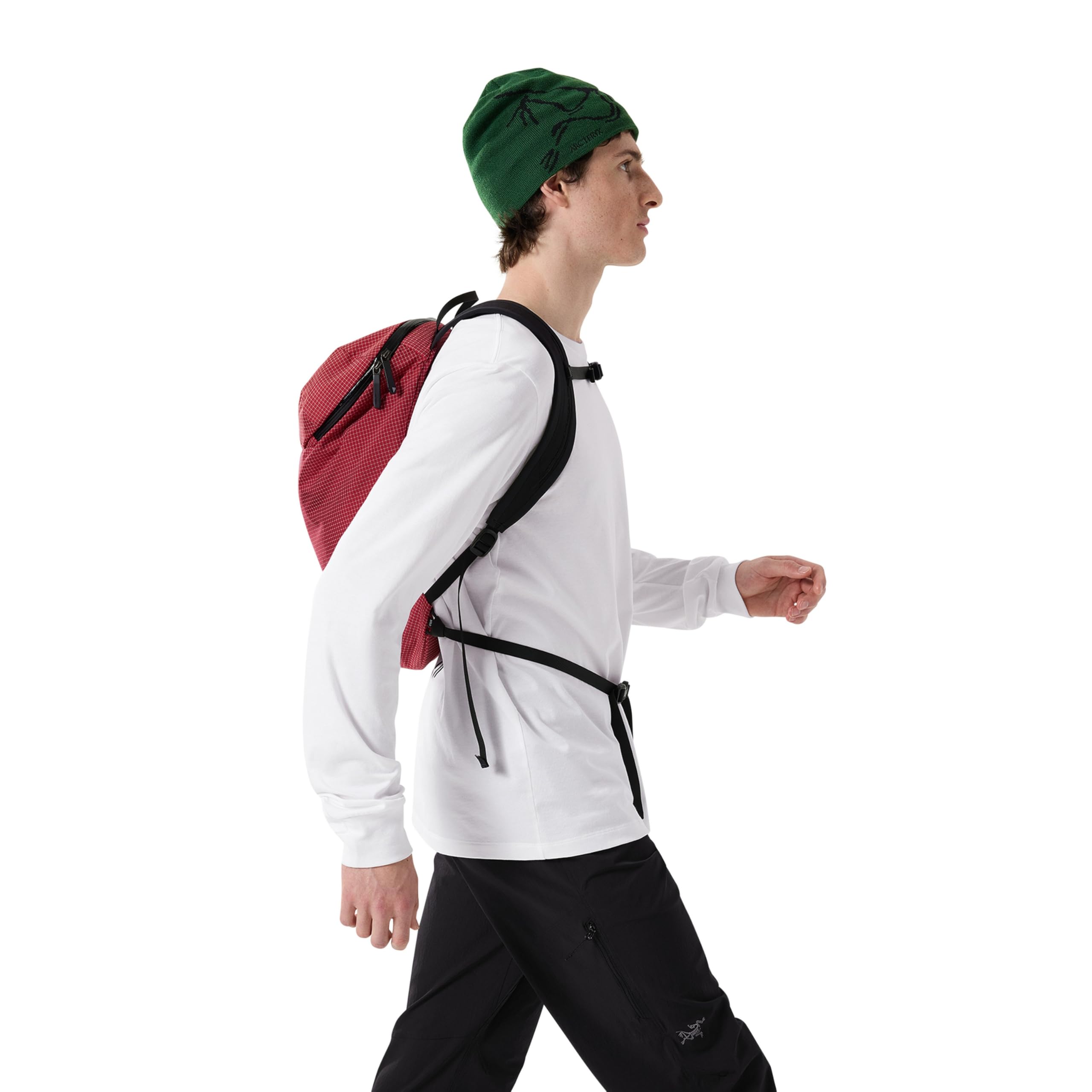 Amazon.co.jp: [アークテリクス] ARCTERYX コンシール15バックパック 