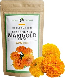 Sponsored Ad - 5600 Marigold Seeds Bulk Mix - Crackerjack Marigold Seeds for Planting Outdoors - Flower Seeds for Companio...