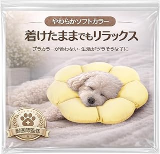 小型コオロギ