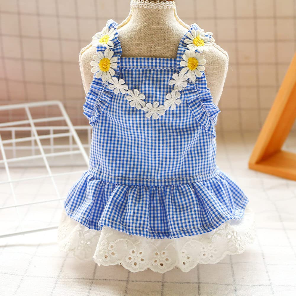 Robe pour chien bleu XL idéale pour ses balades estivales et séances photo