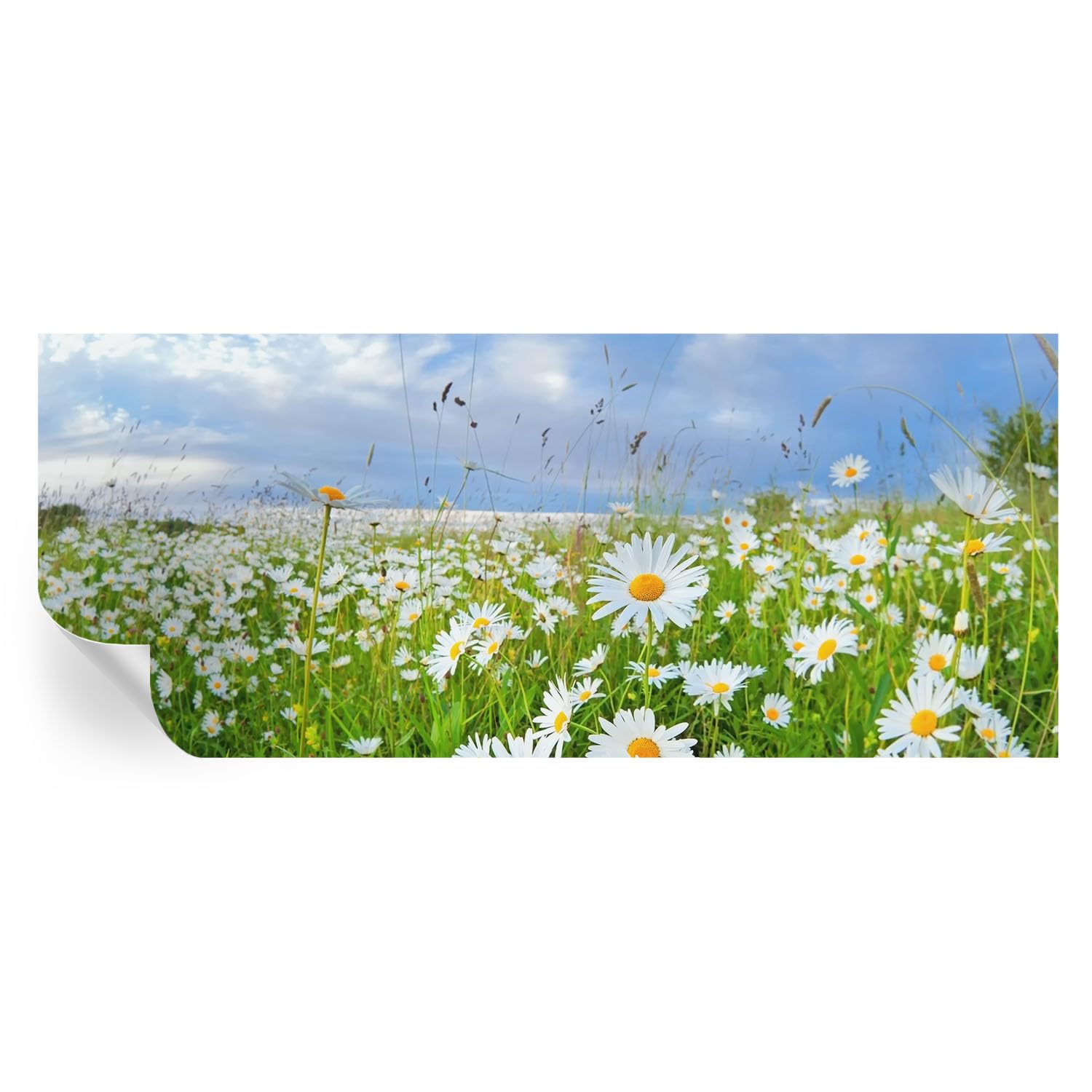 Decoración de pared para salón Pradera de verano con estampados e ilustraciones de alta definición