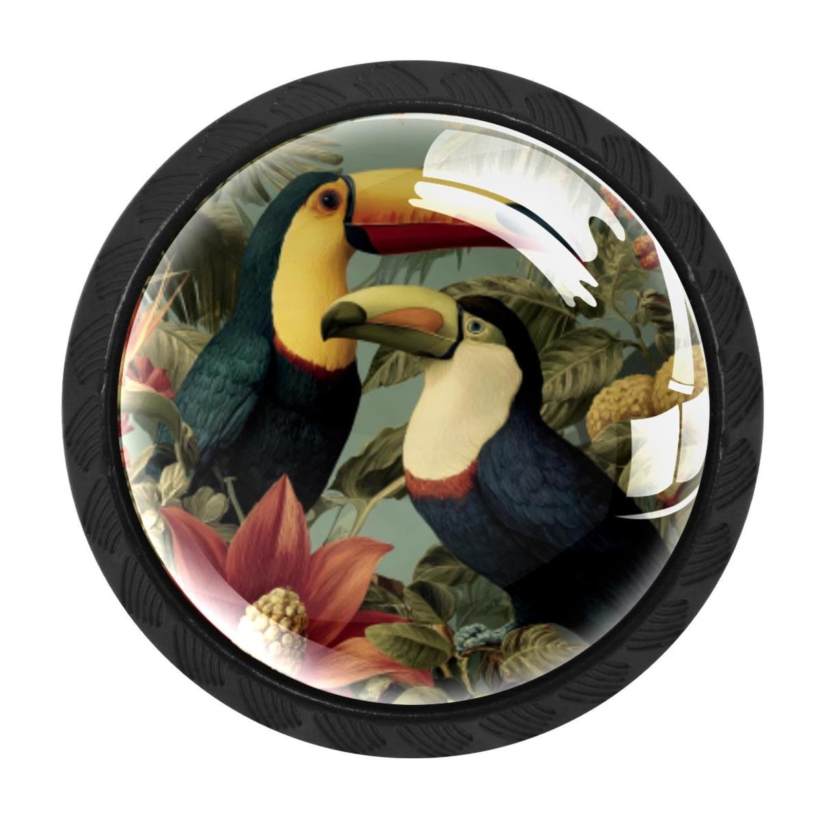 CHENZZZZ 4 Pack Cabinet Pulls Birds Tropical Toucans (2) Kitchen Drawer Pulls Cabinet Handles