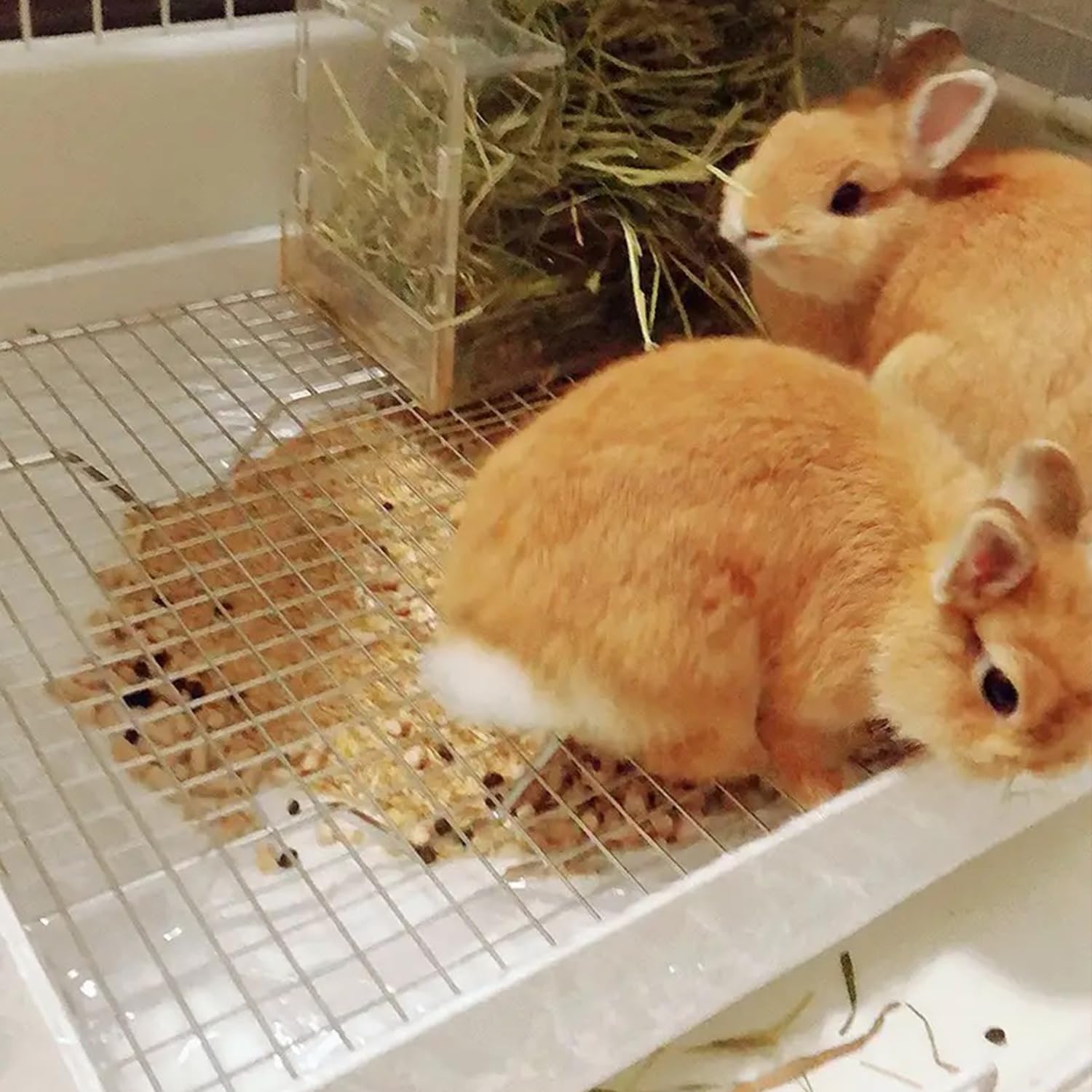 https://m.media-amazon.com/images/I/714zbPy54jL._AC_SL1500_.jpg