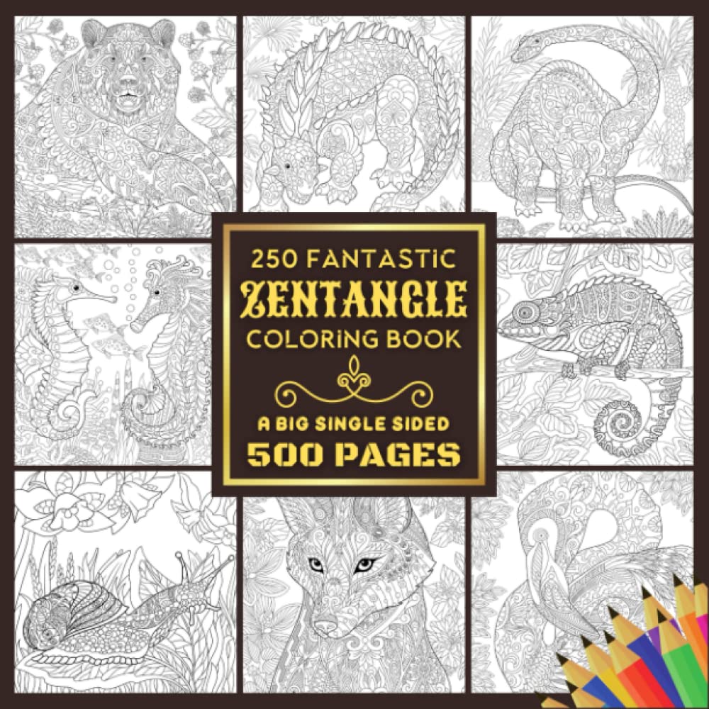 Buy 250 Fantastic Zentangle Coloring Book A Big Single Sided 500