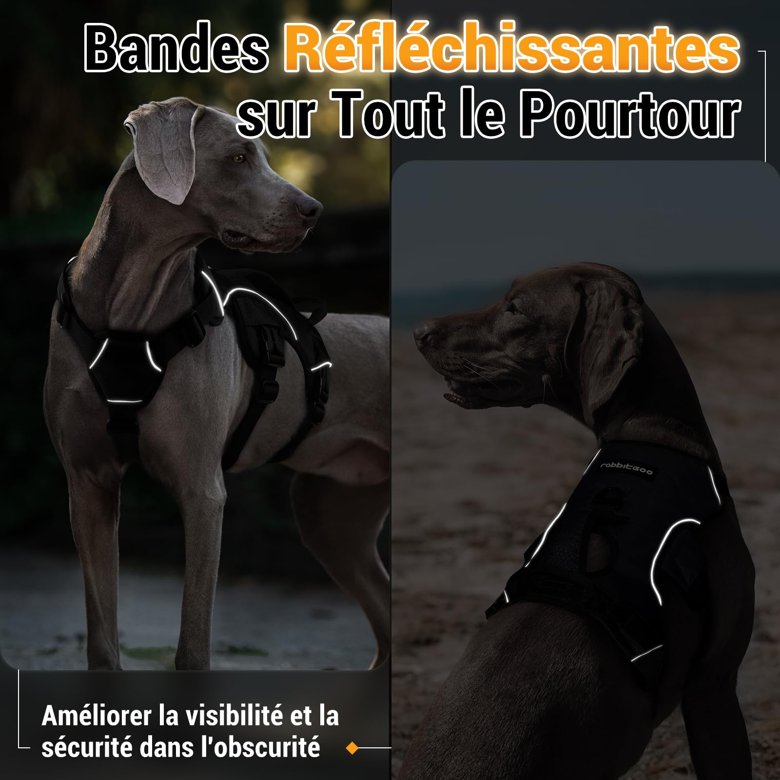 rabbitgoo Harnais pour Chien avec Poignée de Levage,Harnais Réglables pour Animaux de Compagnie Facile à Contrôler,Gilet pour Chien Réfléchissant pour Chiens de Taille Grande M, Noir