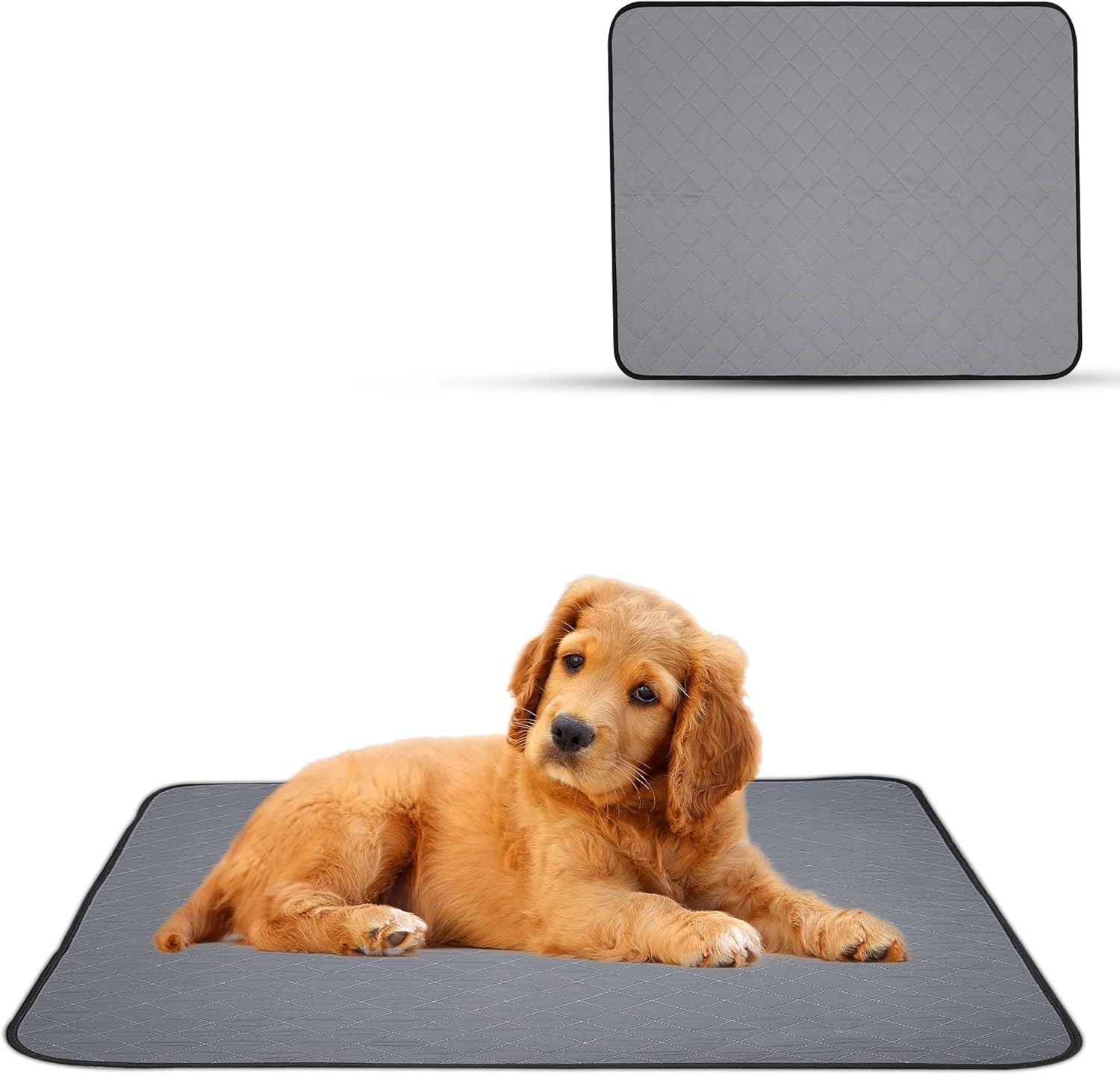 EcoLoo 4-Pack Washable Pee Pads for Dogs — Reusable, Waterproof Training Mats for Puppies & Dogs (Medium)