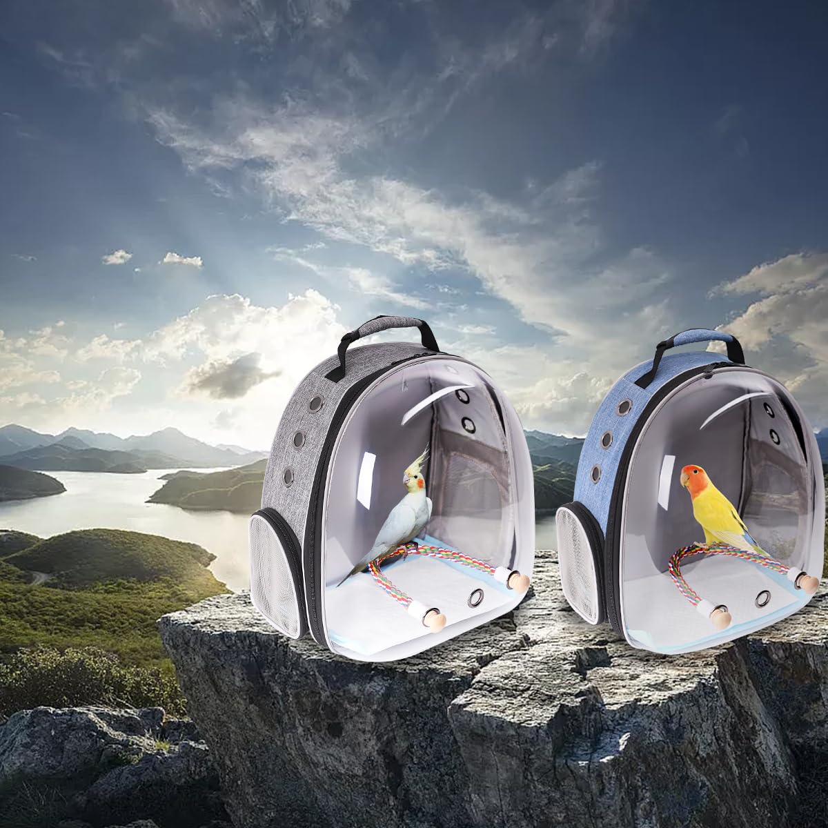 Mochila transportadora de aves Interfashioner®, mochila transportadora de pájaros de burbujas con almohadilla absorbente y percha de pie (Gris Pluma)
