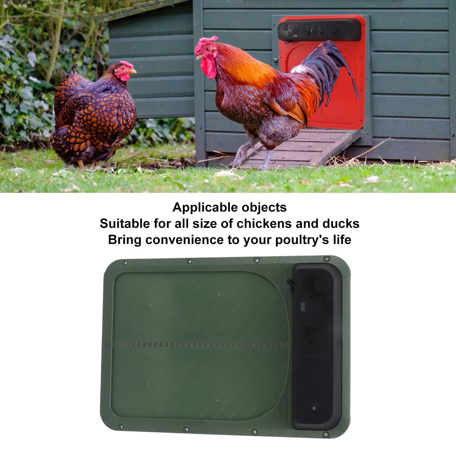 Porta Automatica per Pollaio, Porta per Galline Solare con Sensore di Luce Leggero per Oca (Verde)