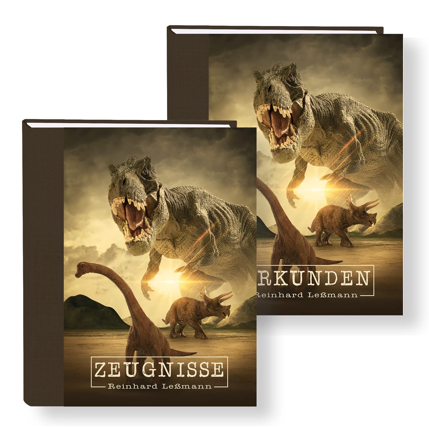 Zeugnismappe personalisiert mit Namen Dinosaurus A4 ca. 31x24 cm braun Zeugnisbuch Tyrannosaurus Rex Urkundenmappe Einschulung Schulanfang