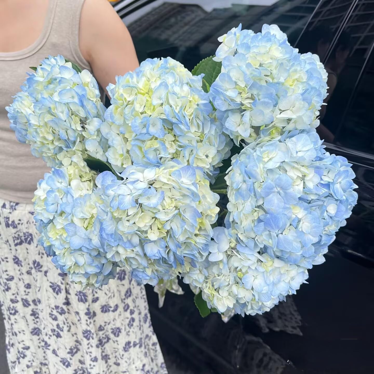 5 Stems Blue Hydrangeas Fresh Cut Flowers Gifts for Birthday Anniversary Friendship and Love Flower Arrangement