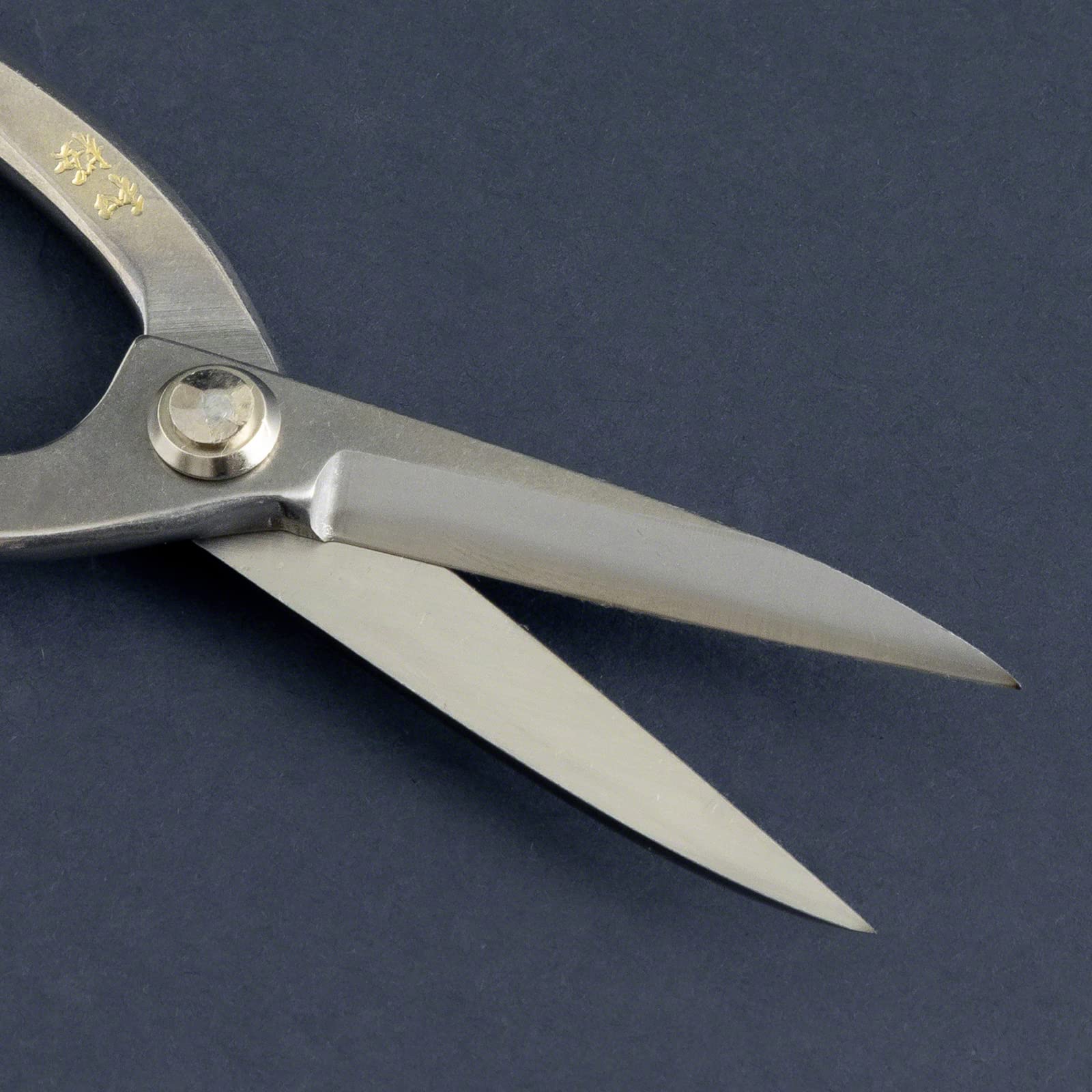 Forbici Ashinaga per Bonsai in Acciaio Inox Yasugi 200 mm Wazakura Giappone