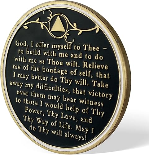 Miniatura 3 de Chip de sobriedad del árbol de la vida de 4 años, chips AA y medallones  Moneda de recuperación de sobriedad  Regalos de sobriedad para celebrar la