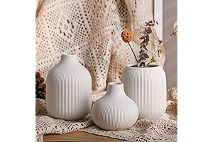 Neutral Organic Decor: Minimalist Ceramic Vases