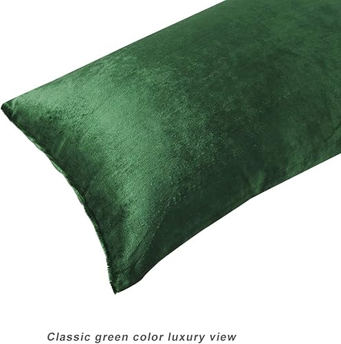Vista 312 de GIGIZAZA - Juego de 2 fundas de almohada decorativas de 18 x 18 pulgadas, fundas de almohada cuadradas de terciopelo verde azulado pavo real