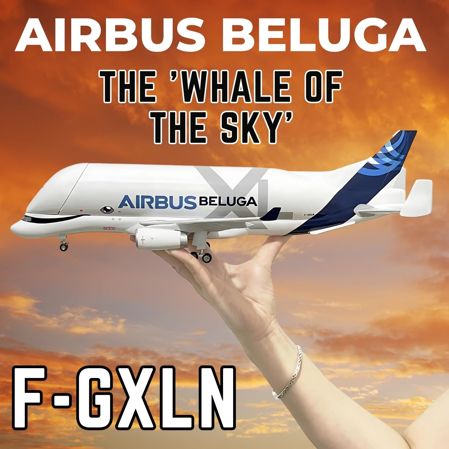 Sage Square Airbus A330-700L Beluga XL 20cm Aircraft Model | Die-Cast Metal Plane with Functional Landing Gears | Aviation Collectible Display | Realistic Airplane for Home, Office, Gifting - Image 6 thumbnail