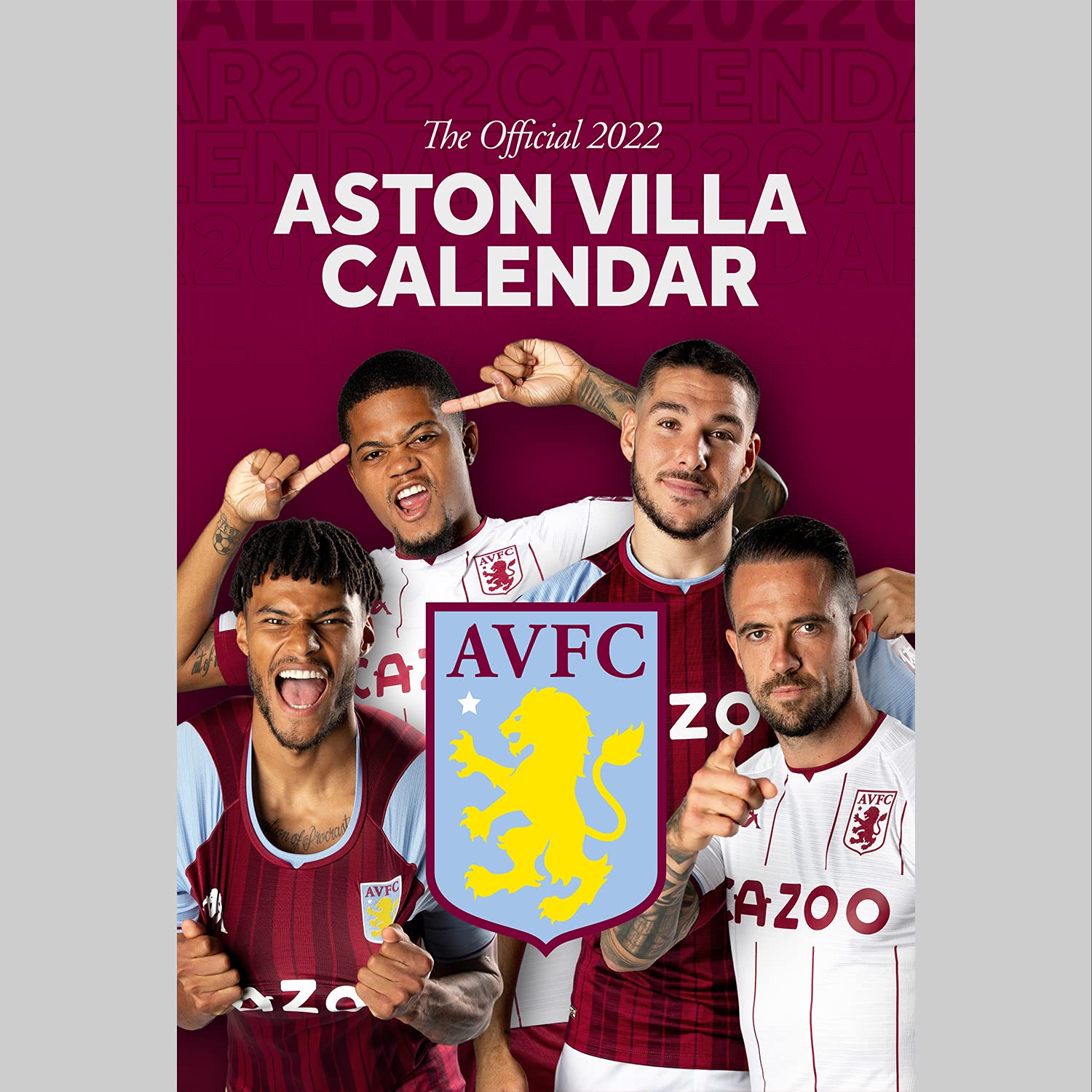Buy Official Aston Villa Football Club 2022 Month To View A3 Wall