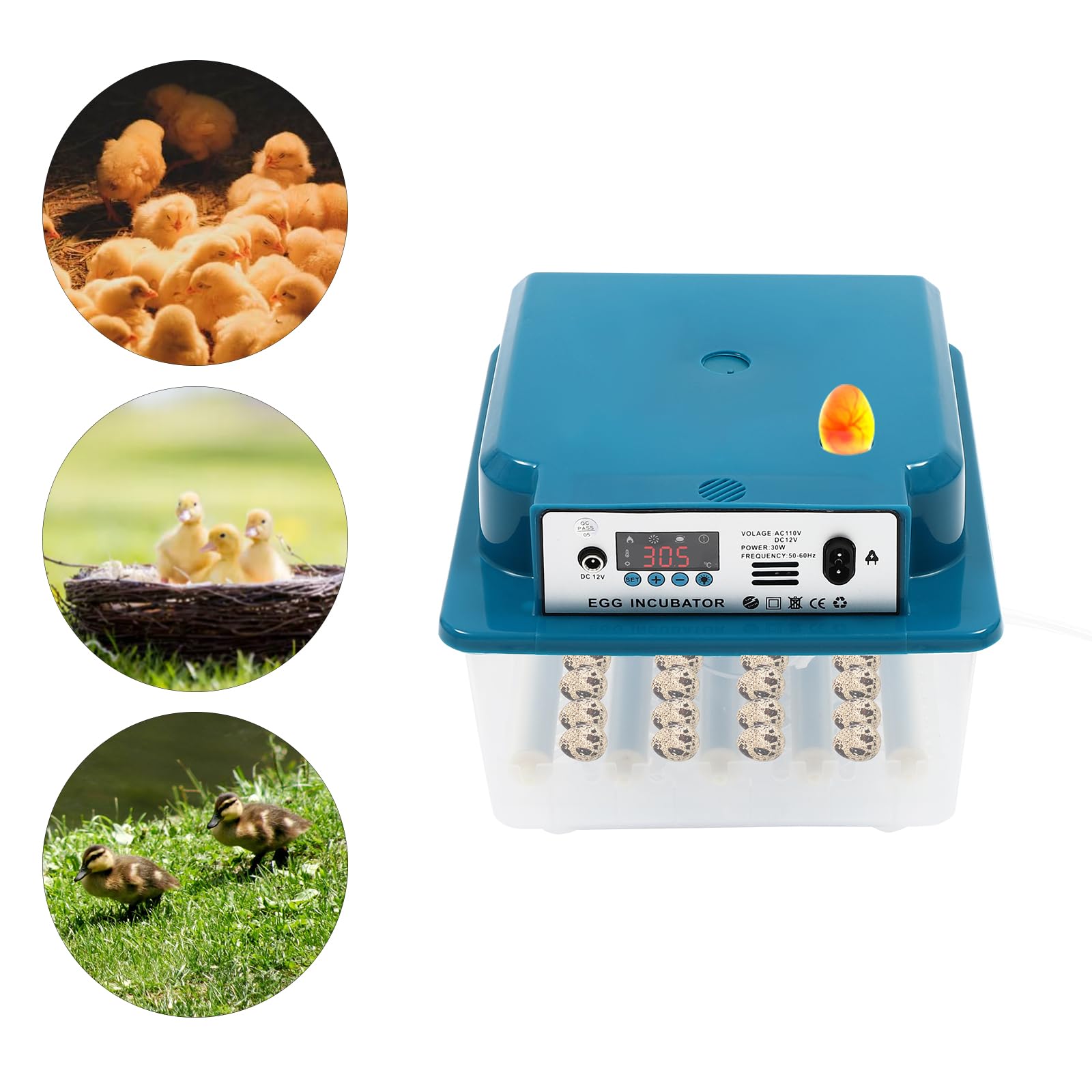 Incovatrice automatica 16 uova, temperatura controllo & automatico Egg Turner per varie uova, incubatrice polli, fagiani