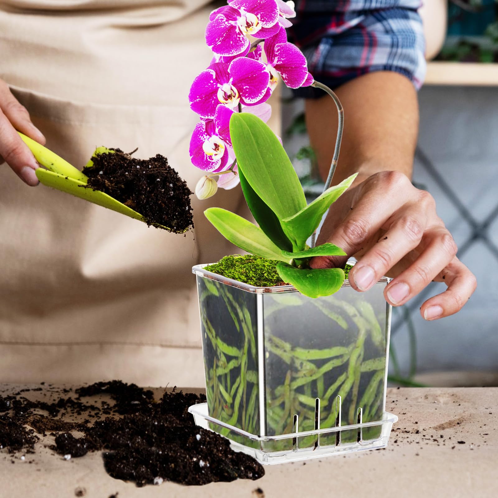 Snapklik.com : IWNTWY Clear Plant Pots, 6/5/4/3 Inch Set Of 4 Flowers Pot