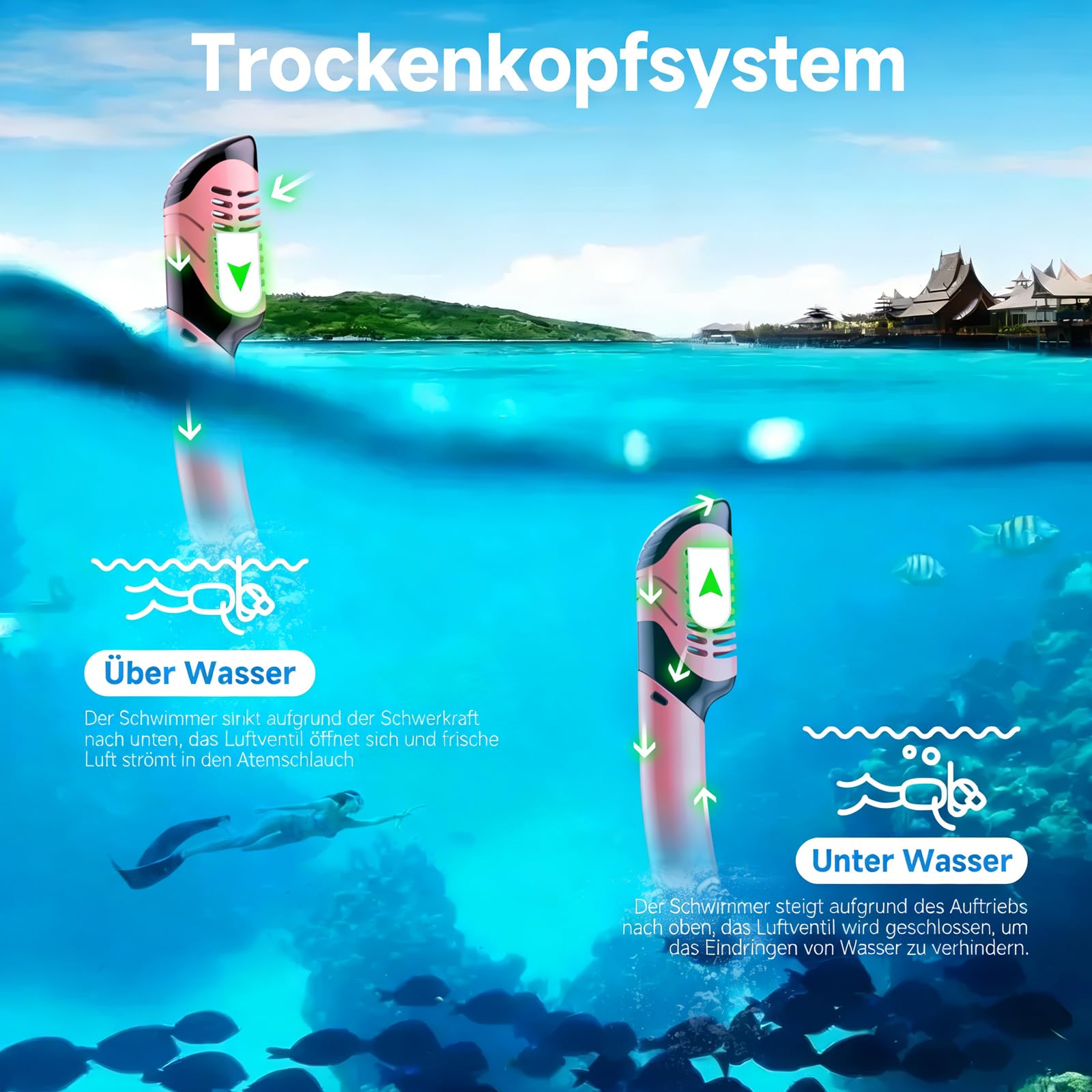 Schnorchelset Erwachsene Trocken mit Maske & Schnorchel Antibeschlag 180°-Panoramablick Schnorchelset Damen Herren zum Schnorcheln Schwimmen Strandurlaub