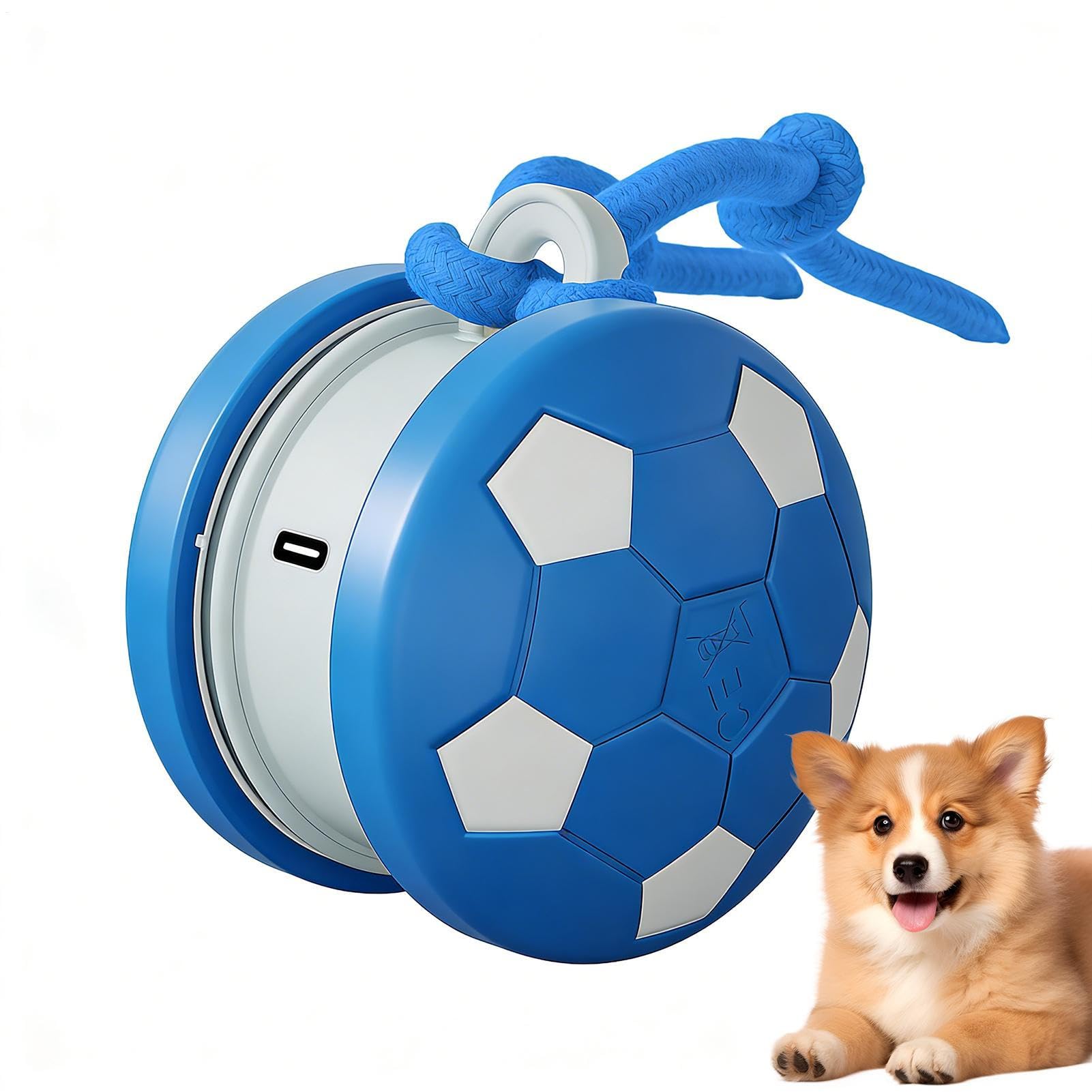Jouet interactif pour chat avec corde de queue rechargeable pour la chasse