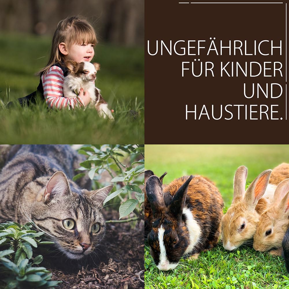 BodenHerz Bodenaktivator 25 kg, mit Mineralien 100% Natürlich mit Langzeitwirkung zur Bodenverbesserung Bodengesundheit für Beet und Rasen petigi