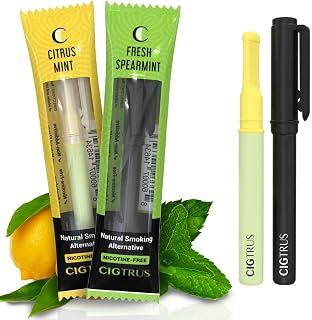 Natural Nicotine-Free & Tobacco-Free Smoking Alternative (2-Pack) - Non-Electric Craving Relief, Quit Smoking Aid with Cigtrus (Spearmint & Lemon Lime)