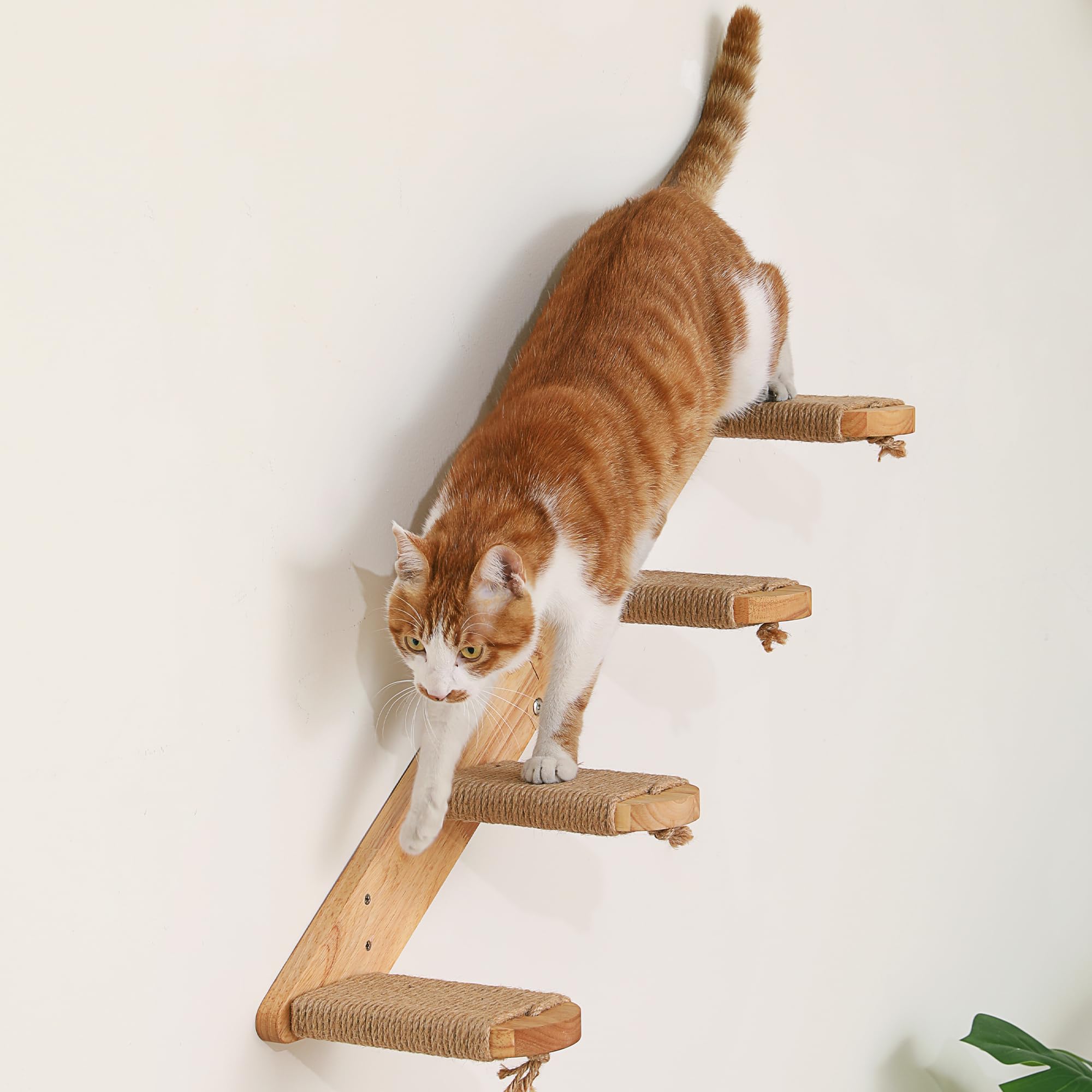 Photo 1 of FUKUMARU Cat Climbing Shelf Wall Mounted, Four Step Cat Stair with Jute Scratching for Kitten Walls Shelves Furniture - Large