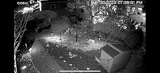 Review Image by Kevin Kevin