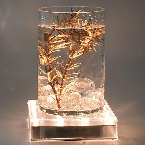 Miniatura 3 de LARDUX Base de luz multicolor de 5 pulgadas con control remoto y base de luz blanca cálida