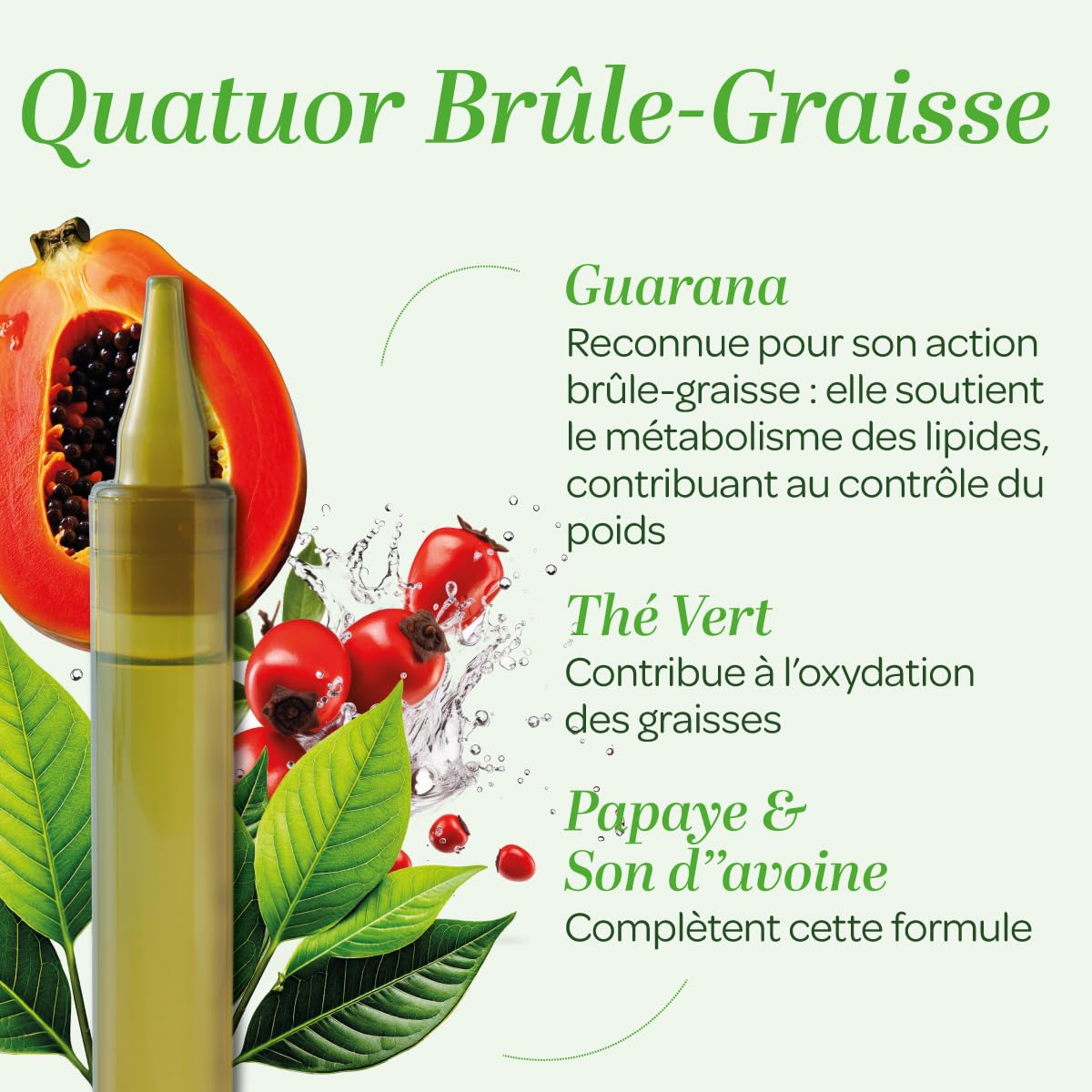 SUPERDIET - QUATUOR BRÛLE-GRAISSE BIO - Minceur -Thé vert, Papaye, Son d'avoine, Guarana - Format nomade-20 Unidoses de 15 ml