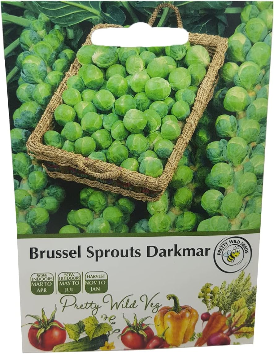 Brussel Sprouts Darkmar Seeds in Pictorial Packet from a UK Seller Mainstay of Winter Cropping