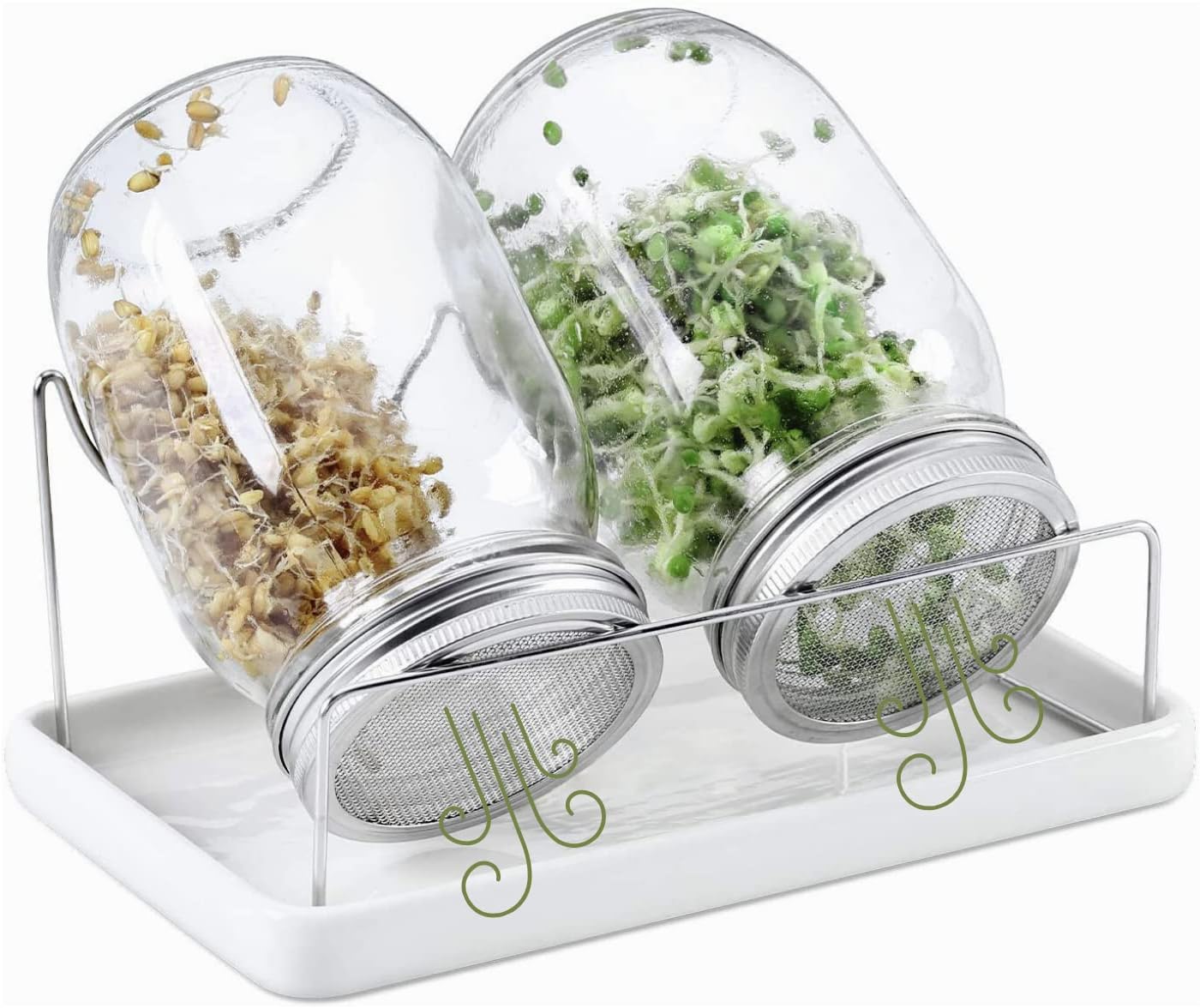 2 Pack Seed Sprouting Jar Kit-1L Wide Mouth Quart Mason Jars with Sprout Lids, Sprouts Growing Kit Quart Sprouting Jars for Melamine Tray,Stand Seed Sprouter Set for Growing Alfalfa Mung Bean