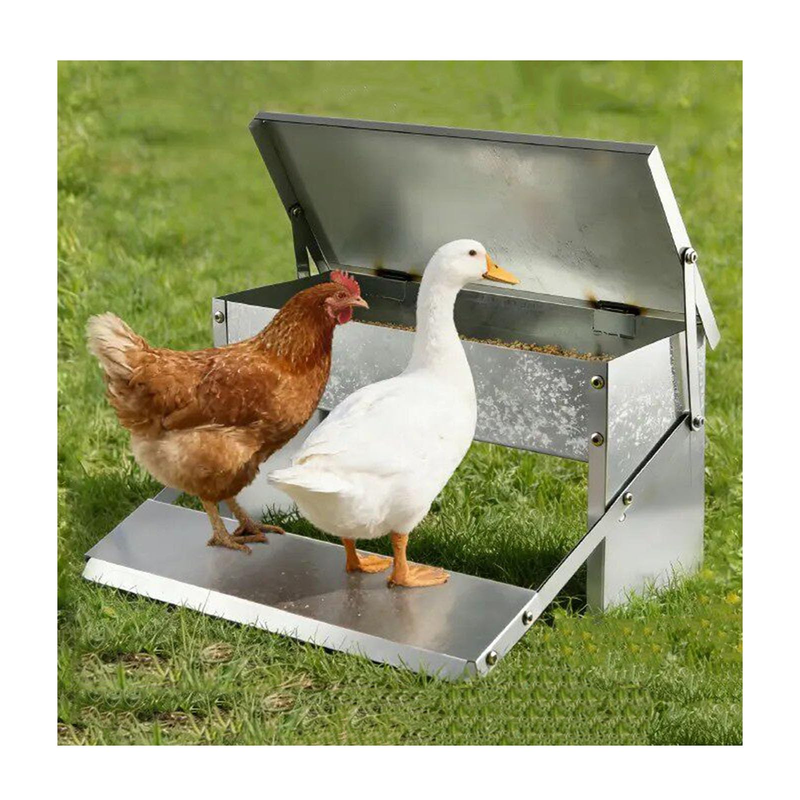 Comedero A Pedal Para Gallinas, Comedero Automático Metálico Para Aves, Sin Desperdicio Y A Prueba De Roedores, Tapa Resistente A La Intemperie, Para Gallinas Enanas Y Faisanes(95x17.5x17.5cm)