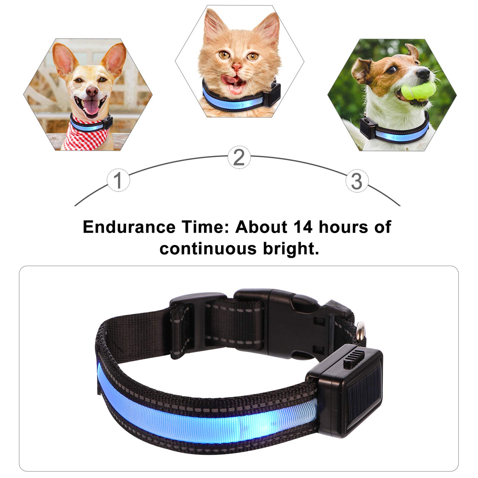 FRCOLOR 3 Ensembles Collier Lumineux pour Animaux De Compagnie Lumière Menée De Chien Animal De Compagnie Embrasé Nouveaux pour La Maison Câble Réseau en Nylon Briller Corde De Cou