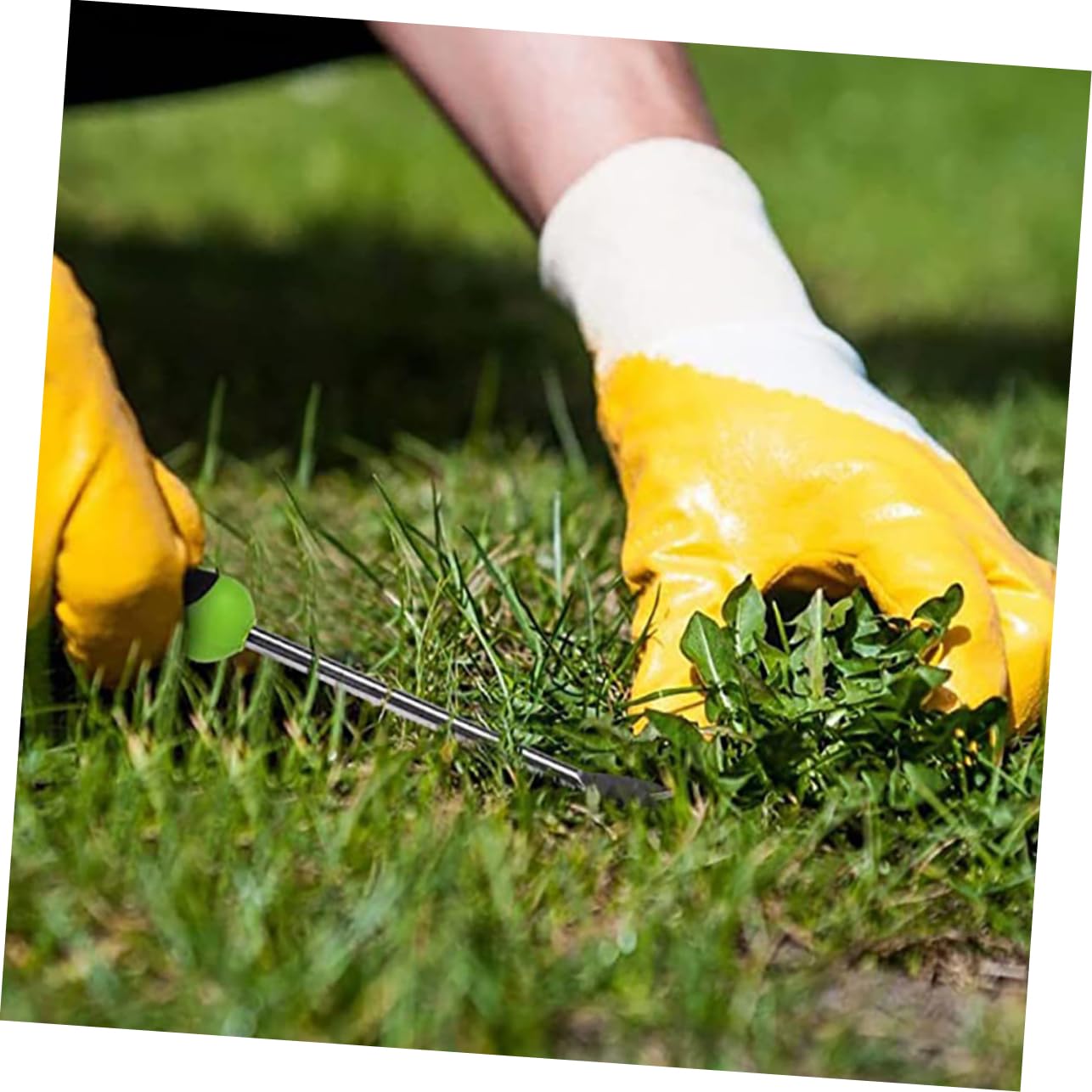 SHINEOFI 3 Pezzi di Attrezzi per Diserbo Sradicamento Sarchiatore Strumento per La Rimozione ' Estrattore Manuale per Prato Coltivatore Attrezzo da Giardino Attrezzo per
