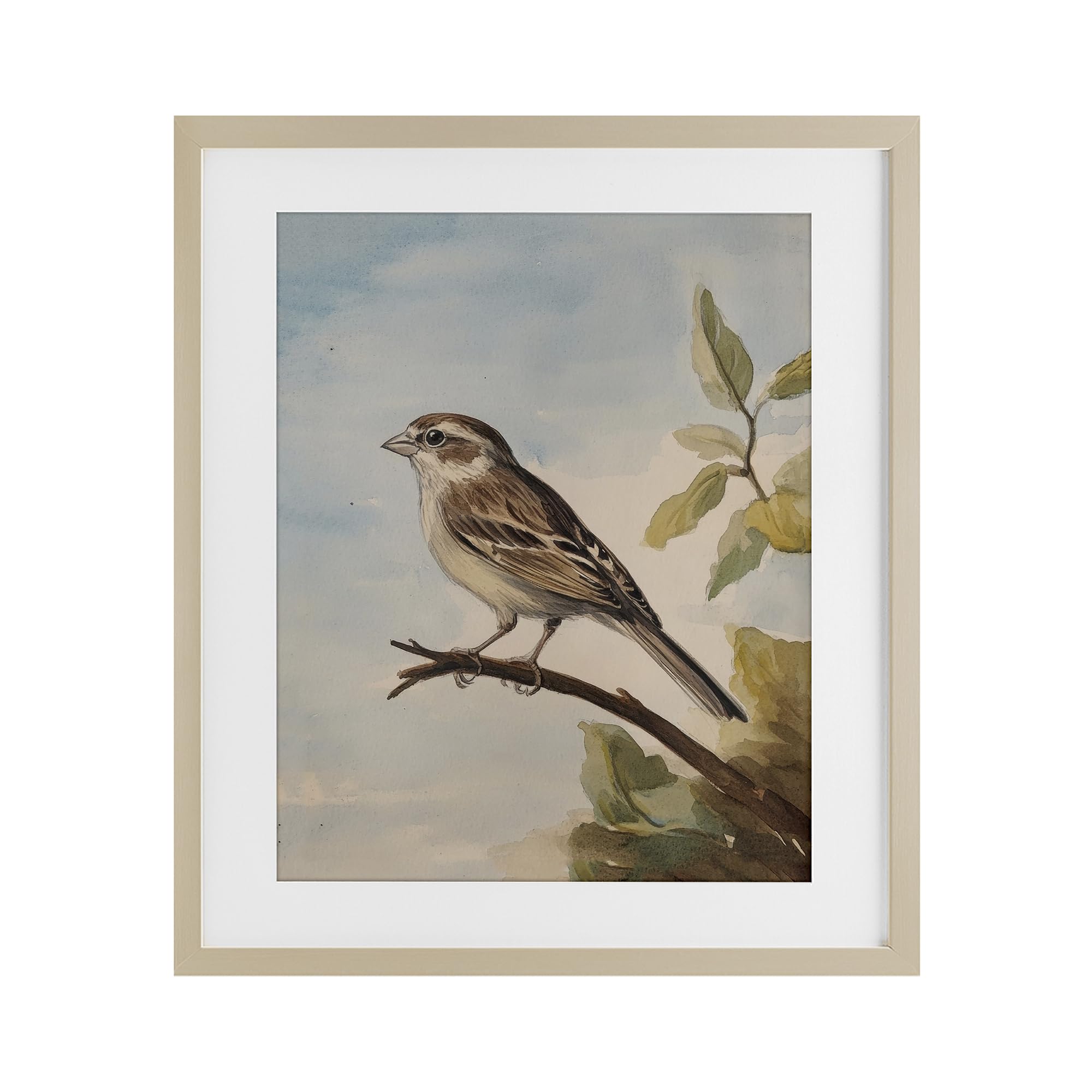 Stupell Industries Brown Bird Perched on Branch Birch Framed Print Under Glass, design by Petal Prints Design, 16 x 13