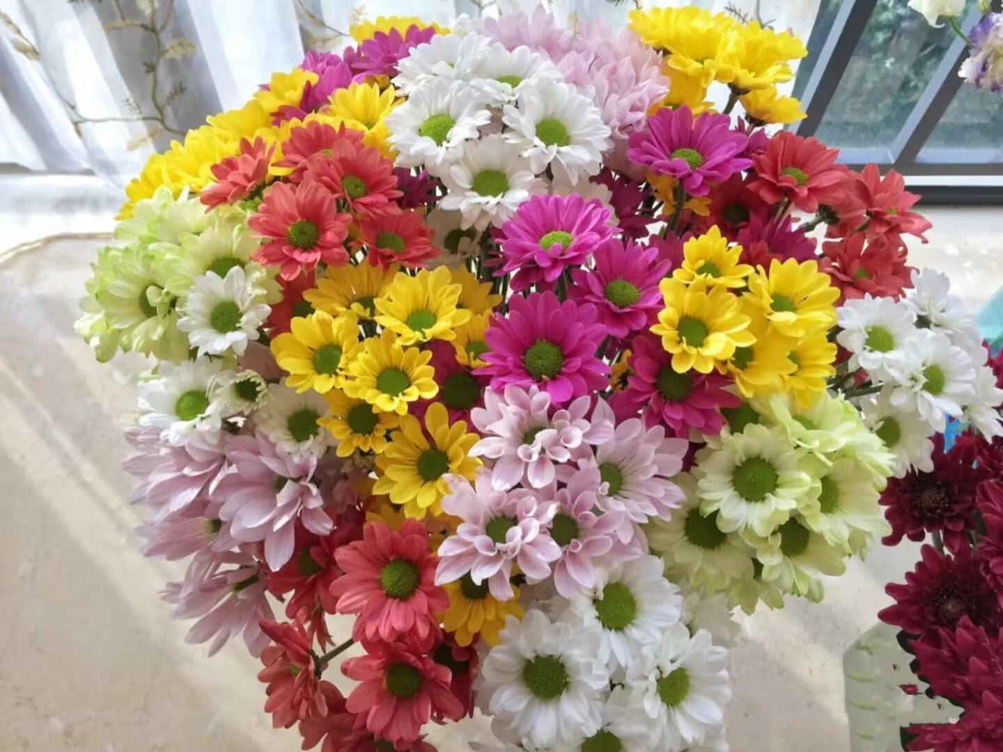 20 Stems Fresh Cut Random Mixed Color Daisy Flowers Long Blooming Period Hydroponic Flower Arrangement Suitable For Home Decoration Birthday, anniversary Healing Sympathy Friendship and Love