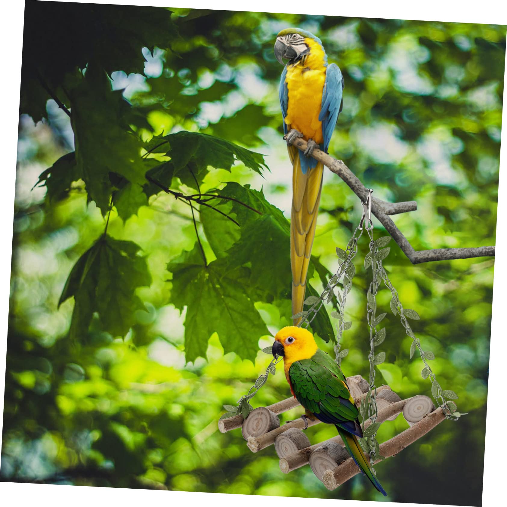 YARNOW 3 Piezas Loro De Juguete Los Juguetes Que Se Mueven Juguete Mecedora Loro Pájaro Columpio De Juguete Juguetes De Escalada Columpio De Pájaro De Madera El Columpio Escalera Colgante