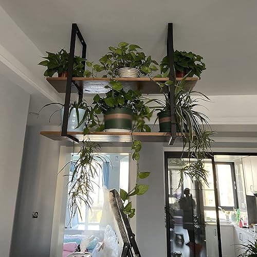 Miniatura 5 de Shelves Hanging Ceiling Shelf Wine RacksIndustrial Ceiling Mount ShelfRetro Iron Metal Frame Plant Display Stand, Kitchen Bar Restaurant Storage