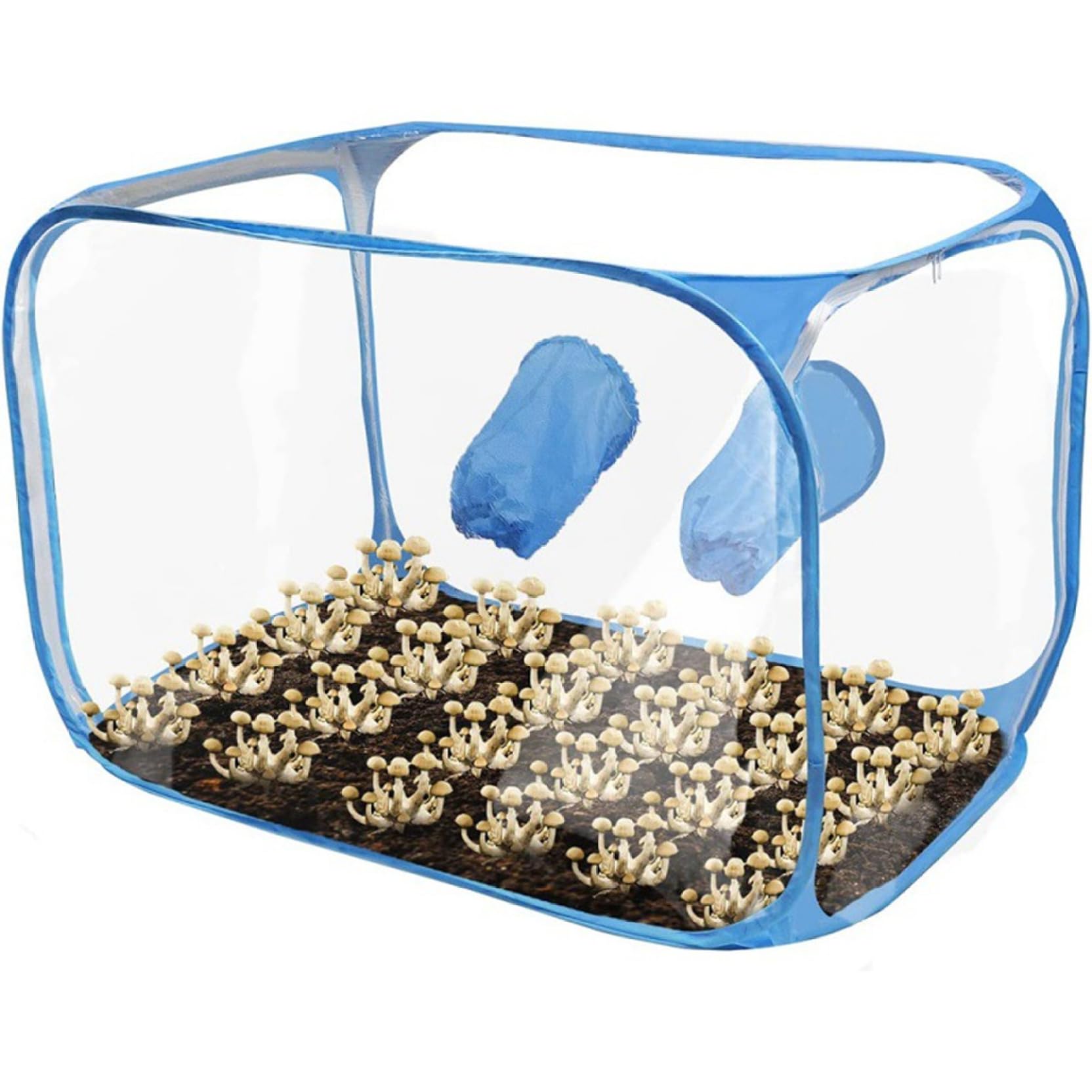 Boîte champignons transparente PVC et fournitures de culture sous tente de 36 pouces
