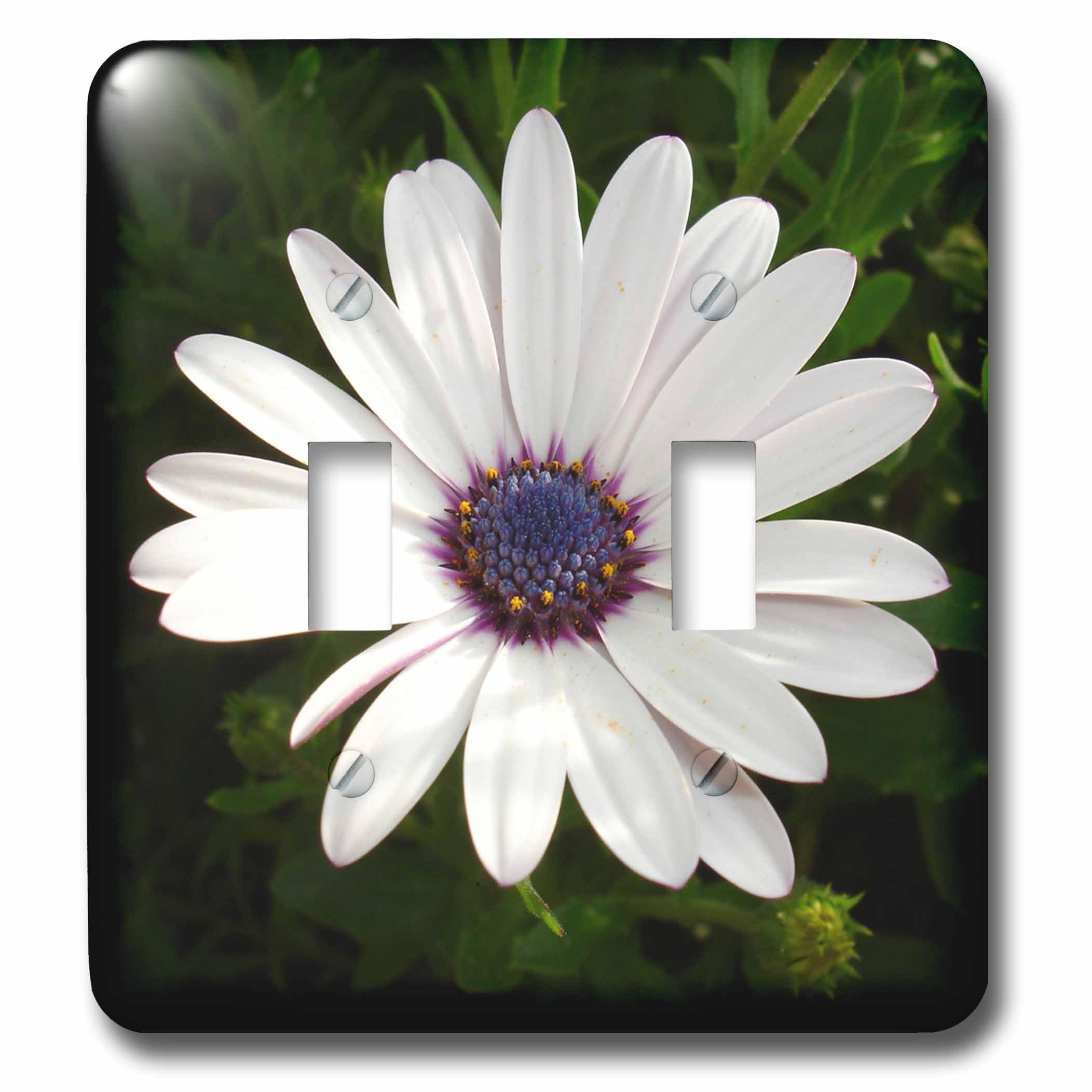 Flowers African Daisy interrupteur à baïonnette déco murale florale LSP_17667_2