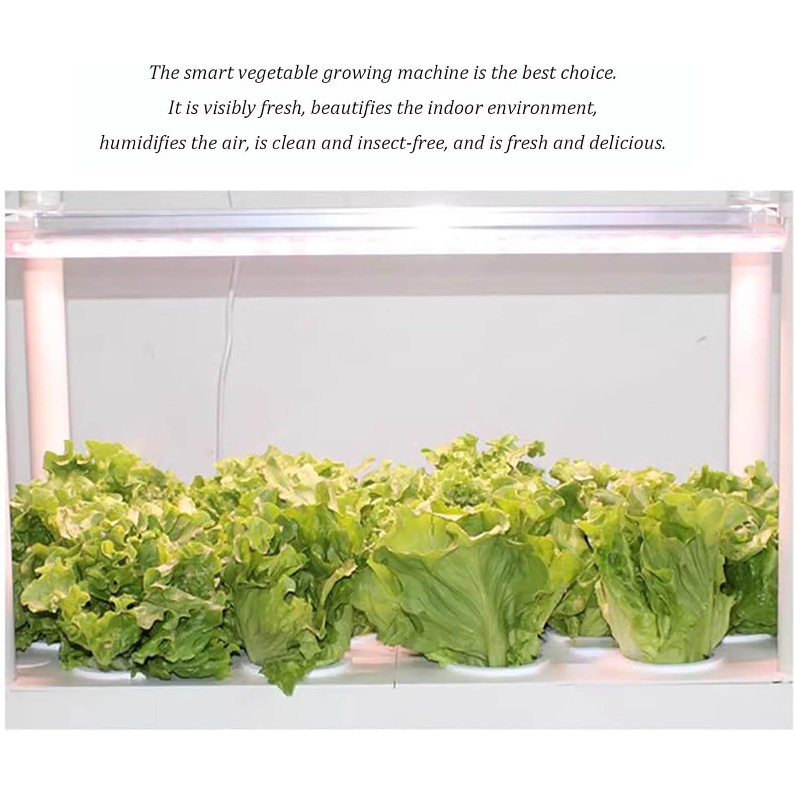 Sistema de cultivo hidropónico con luz LED de cultivo para jardín de hierbas de interior, adecuado para cultivar hierbas, frutas y verduras