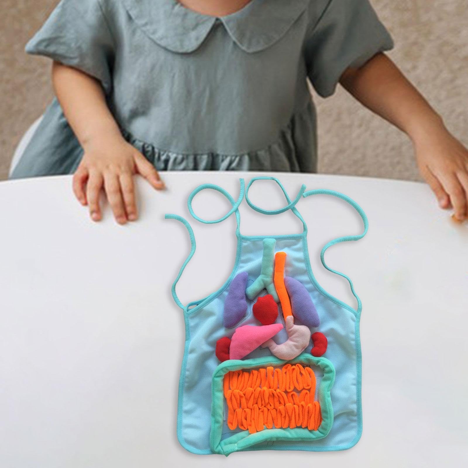 Sharplace Grembiule 3D con Organi per Bambini, Grembiule Didattico Tridimensionale del Corpo Umano, Modello di Organi Interni, per Scuola E Asilo Nido, Blu