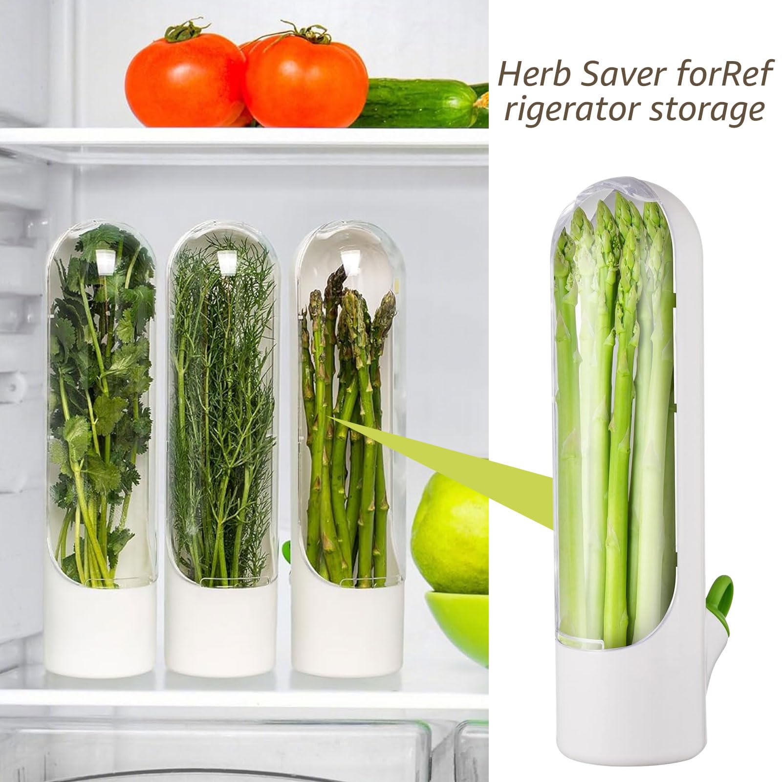 Contenitore Salvafreschezza Per Erbe Aromatiche | Custode Per Coriandolo, Prezzemolo, Menta, Asparagi | Con Finestra Trasparente E Ricarica D'acqua - 5